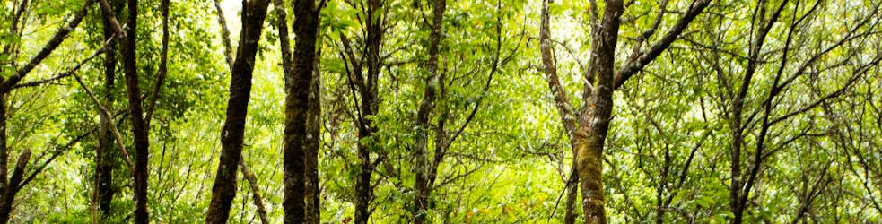 Salesforce development